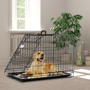 Dog crate cheap under stairs